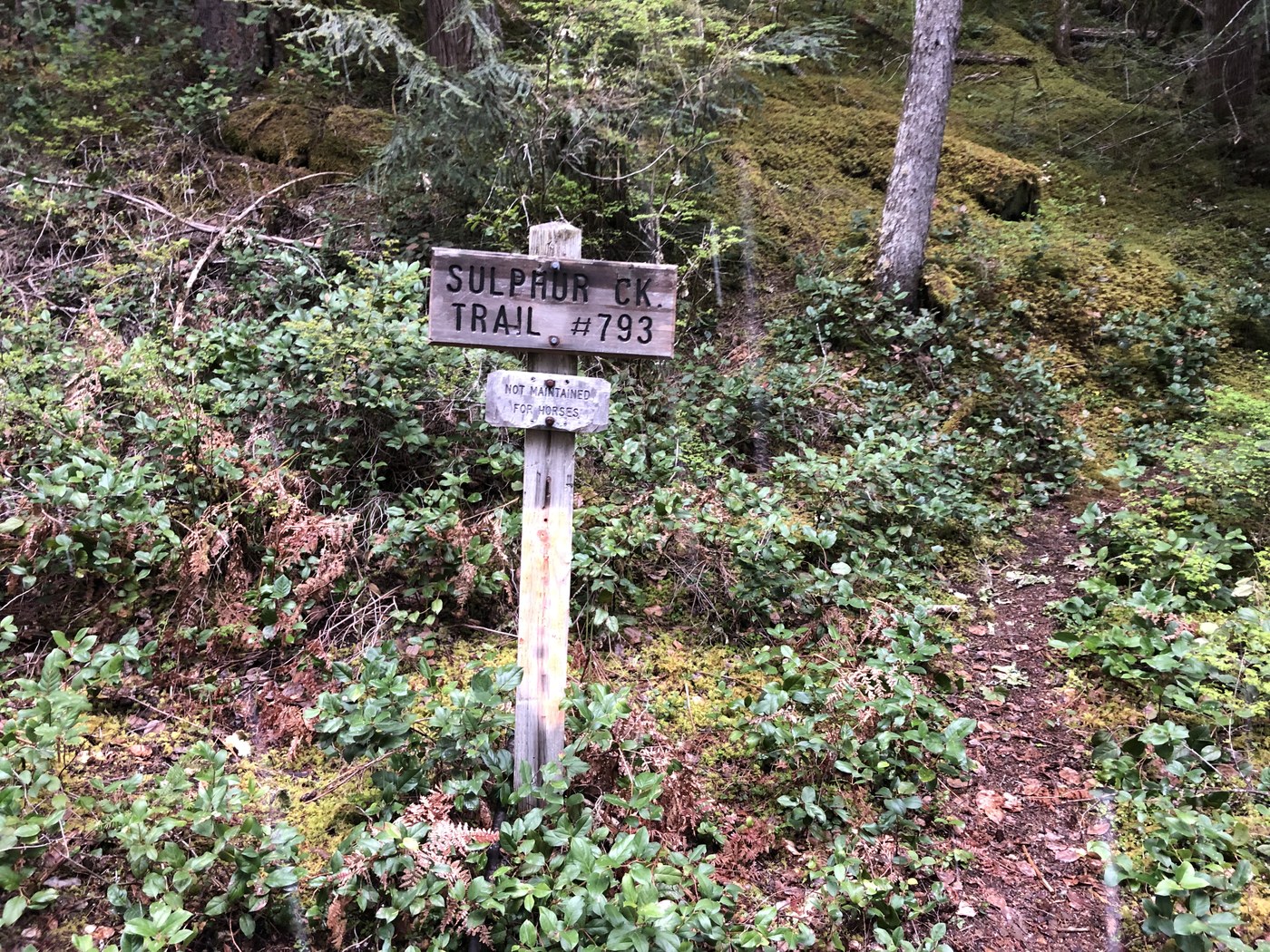 Sulphur Creek — Washington Trails Association